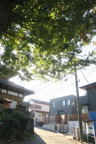 うま坂(相模原市橋本)うま坂は馬坂で馬が登るのに苦戦した坂だと