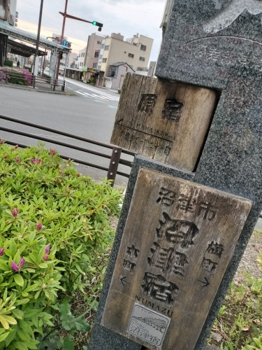 沼津を散歩|旧東海道の沼津宿と若山牧水に桜エビと生シラスの寿司