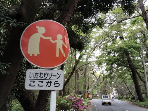 沼津を散歩|旧東海道の沼津宿と若山牧水に桜エビと生シラスの寿司