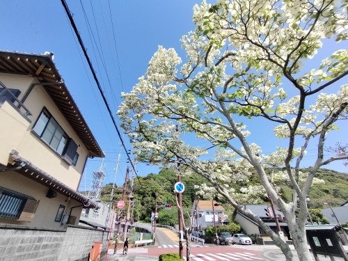 新蒲原宿を散歩|安藤広重の絵にでる蒲原宿は今どんな風景だろうか
