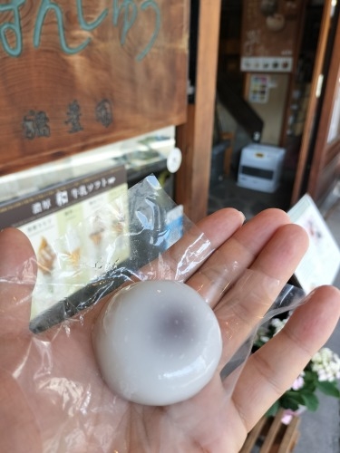 高山を散歩|金森長近の城下町高山の古い町並みを夕暮れに散歩はいい