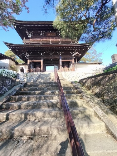 高山を散歩|金森長近の城下町高山の古い町並みを夕暮れに散歩はいい