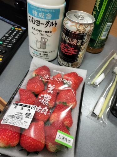 高山を散歩|金森長近の城下町高山の古い町並みを夕暮れに散歩はいい