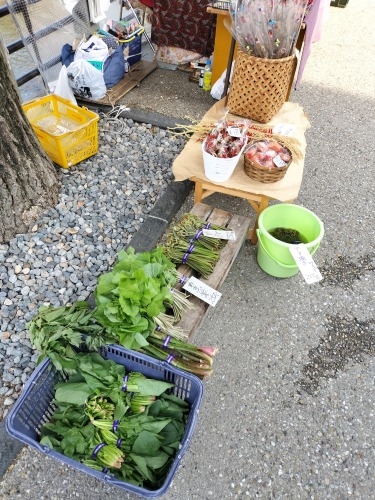 高山を散歩|朝市からの下三之町中組保存地区 越中街道保存地区散歩