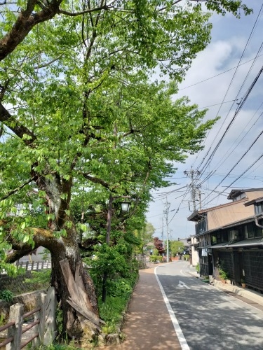 高山を散歩|朝市からの下三之町中組保存地区 越中街道保存地区散歩