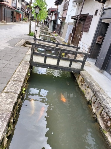 飛騨古川を散歩|映画「君の名は。」聖地巡礼と白壁土蔵街を散歩して