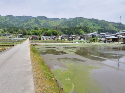 飛騨古川を散歩|映画「君の名は。」聖地巡礼と白壁土蔵街を散歩して