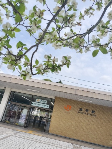 金谷を散歩|旧東海道の宿場町・金谷宿を散歩大井川鐵道の出発駅でも