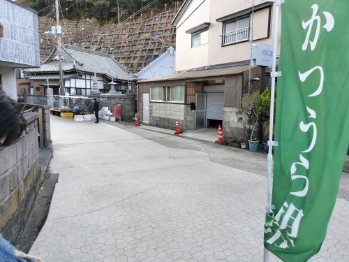 勝浦を散歩|旅館「松の家」で地元魚を舟盛と勝浦朝市を散歩してみた