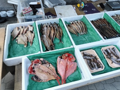 勝浦を散歩|旅館「松の家」で地元魚を舟盛と勝浦朝市を散歩してみた