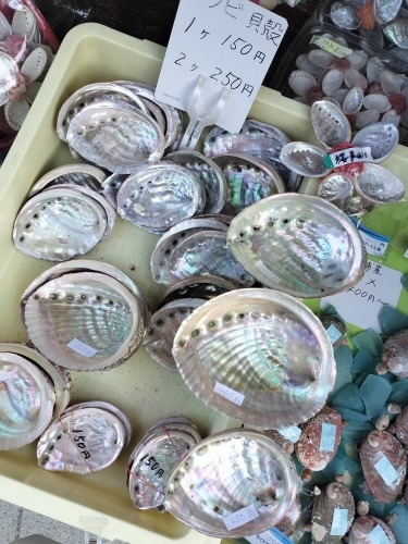 勝浦を散歩|旅館「松の家」で地元魚を舟盛と勝浦朝市を散歩してみた