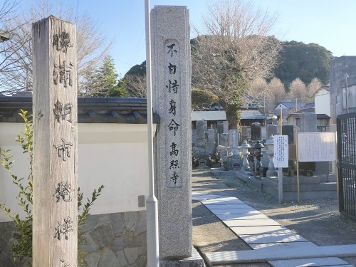 勝浦を散歩|旅館「松の家」で地元魚を舟盛と勝浦朝市を散歩してみた