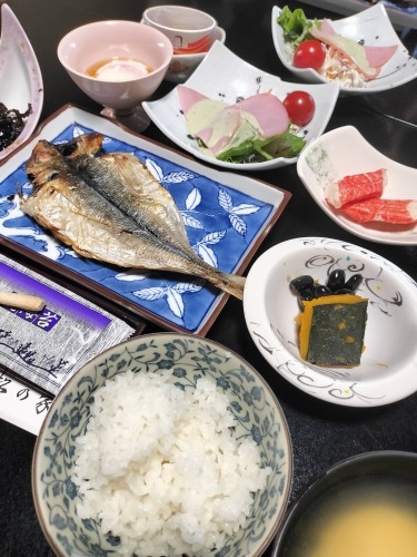 勝浦を散歩|旅館「松の家」で地元魚を舟盛と勝浦朝市を散歩してみた