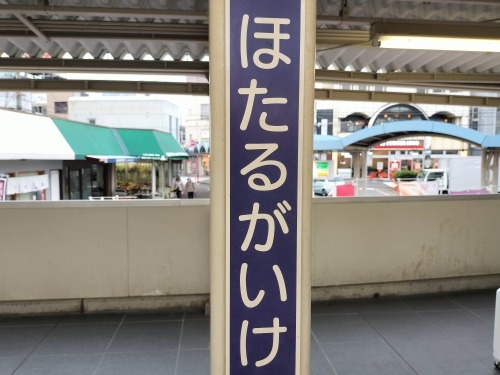 Ubw̓͏a̕ic˂HׂĂ݂