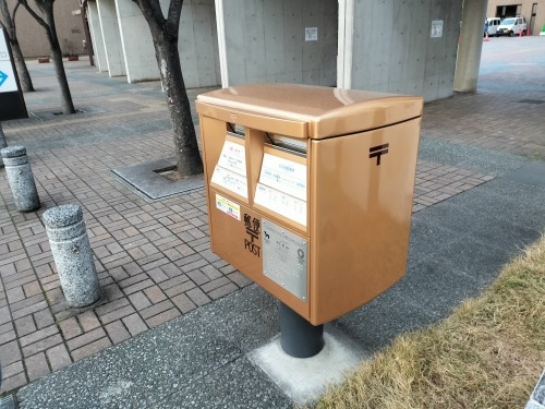 松原を散歩|