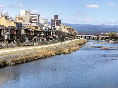 祇園を散歩|桜満開の京都で歴史の街祇園と裏路地ををぶらり散歩して