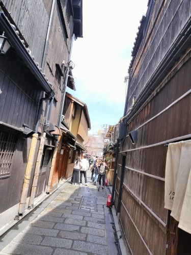 祇園を散歩|桜満開の京都で歴史の街祇園と裏路地ををぶらり散歩して