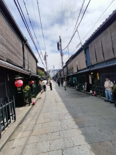 祇園を散歩|桜満開の京都で歴史の街祇園と裏路地ををぶらり散歩して