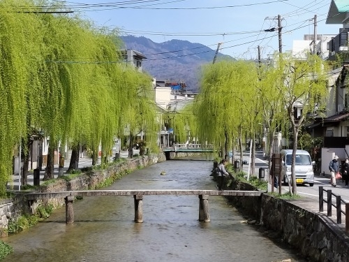 祇園を散歩|桜満開の京都で歴史の街祇園と裏路地ををぶらり散歩して