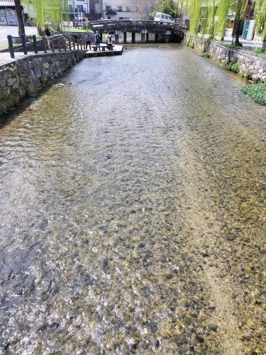 祇園を散歩|桜満開の京都で歴史の街祇園と裏路地ををぶらり散歩して