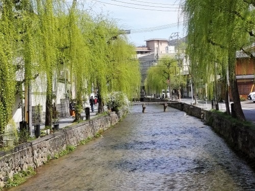 祇園を散歩|桜満開の京都で歴史の街祇園と裏路地ををぶらり散歩して