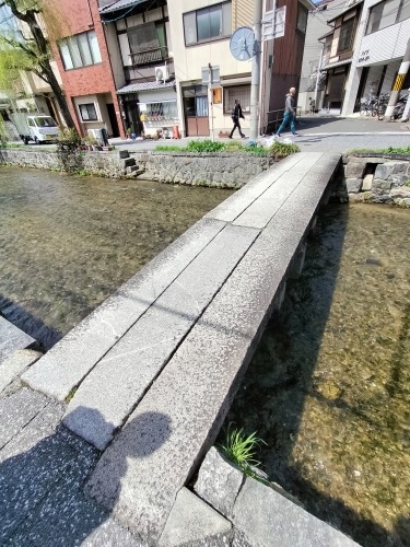 祇園を散歩|桜満開の京都で歴史の街祇園と裏路地ををぶらり散歩して