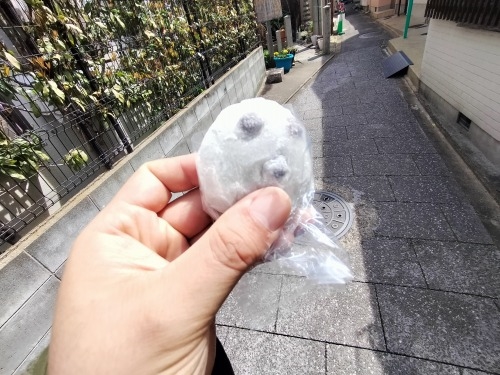 祇園を散歩|桜満開の京都で歴史の街祇園と裏路地ををぶらり散歩して