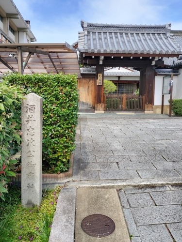 祇園を散歩|桜満開の京都で歴史の街祇園と裏路地ををぶらり散歩して