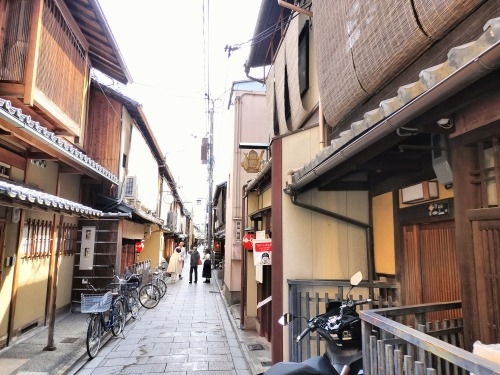 祇園を散歩|桜満開の京都で歴史の街祇園と裏路地ををぶらり散歩して