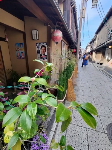 祇園を散歩|桜満開の京都で歴史の街祇園と裏路地ををぶらり散歩して