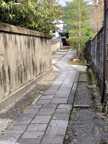 祇園を散歩|桜満開の京都で歴史の街祇園と裏路地ををぶらり散歩して