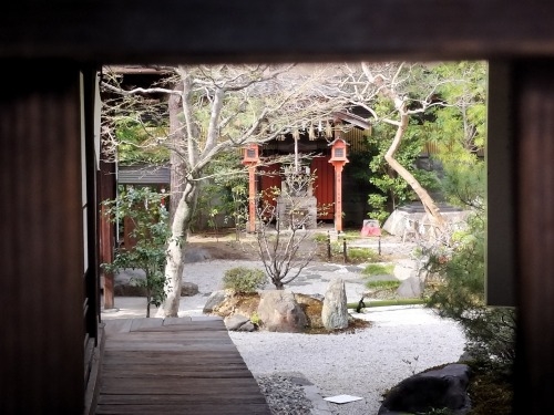 祇園を散歩|桜満開の京都で歴史の街祇園と裏路地ををぶらり散歩して