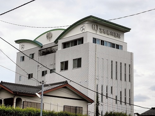 宮原を散歩|東宮原駅から宮原駅へそんで餅つき祭りの日進駅まで散歩