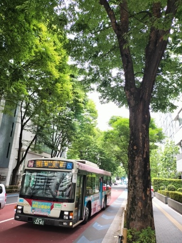 中野駅から散歩|中野駅北口の賑わう繁華街に感動!昭和の風景を散歩