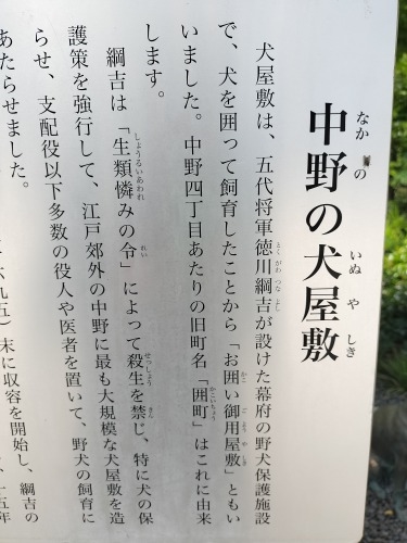 中野駅から散歩|中野駅北口の賑わう繁華街に感動!昭和の風景を散歩