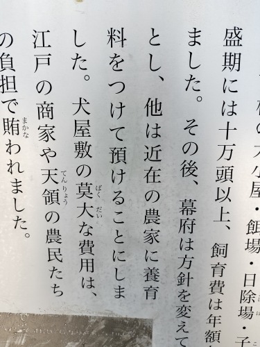 中野駅から散歩|中野駅北口の賑わう繁華街に感動!昭和の風景を散歩