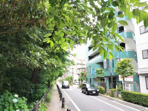 三鷹を散歩|太宰治が住んだ街三鷹を散歩と太宰治と森鴎外の墓参り