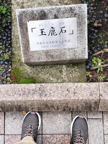 三鷹を散歩|太宰治が住んだ街三鷹を散歩と太宰治と森鴎外の墓参り