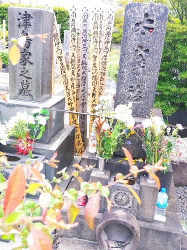 三鷹を散歩|太宰治が住んだ街三鷹を散歩と太宰治と森鴎外の墓参り