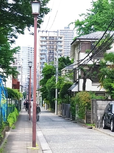 三鷹を散歩|太宰治が住んだ街三鷹を散歩と太宰治と森鴎外の墓参り