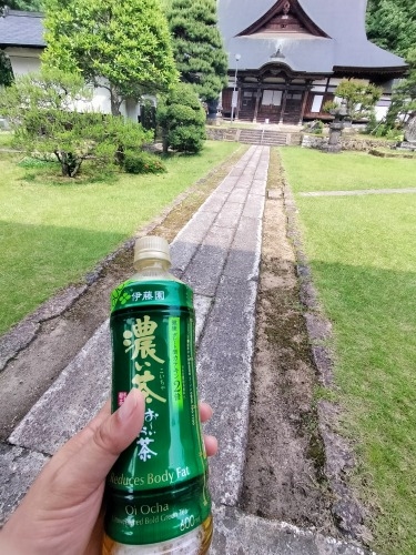 天童を散歩|どうして天童は将棋の街になったのか天童織田家の城下町