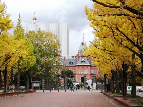 札幌を散歩|10月の札幌の紅葉を楽しむ!大通公園と海鮮グルメの旅