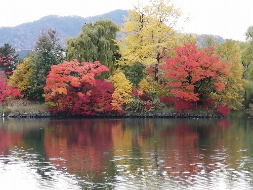 札幌を散歩|10月の札幌の紅葉を楽しむ!大通公園と海鮮グルメの旅