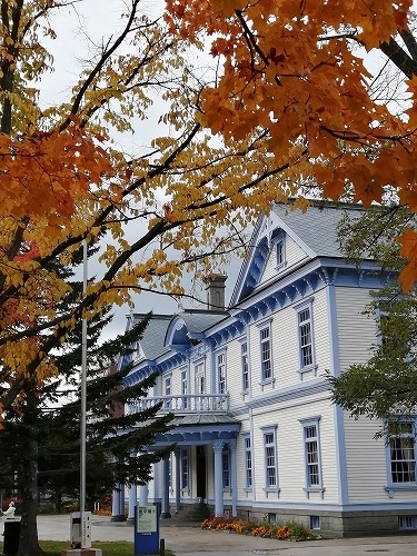 札幌を散歩|10月の札幌の紅葉を楽しむ!大通公園と海鮮グルメの旅