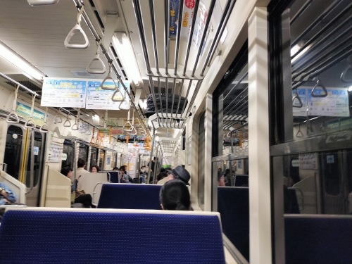 八戸を散歩|青森はイカが美味いんだよ・おいしい海鮮の夕食でいい夜