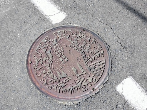 マンホール北海道・東北編 マンホールにはその魅力が満載 下をみて歩こう