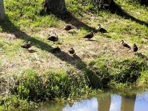 LǂUbBX̏h꒬ELǏhi{wj̍UĂ