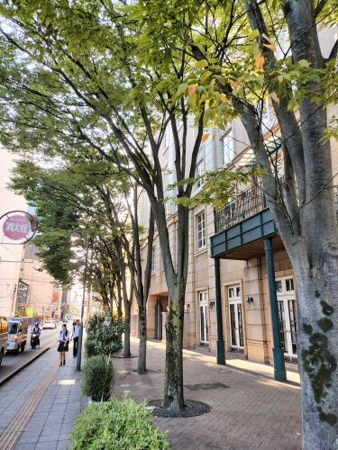 UbBX̏h꒬ł̍͂ǂȕiȂ