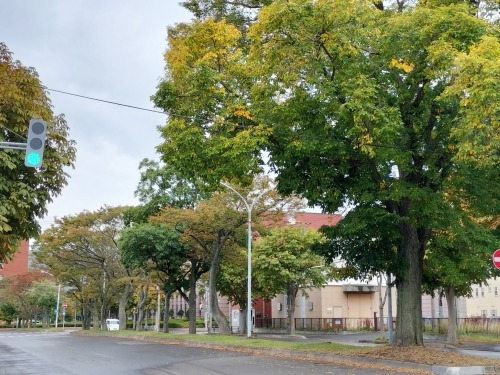 函館を散歩|昭和の香り菊水小路とまさか月光仮面は函館出身ぞよのか
