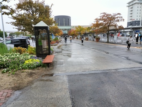 函館を散歩|昭和の香り菊水小路とまさか月光仮面は函館出身ぞよのか